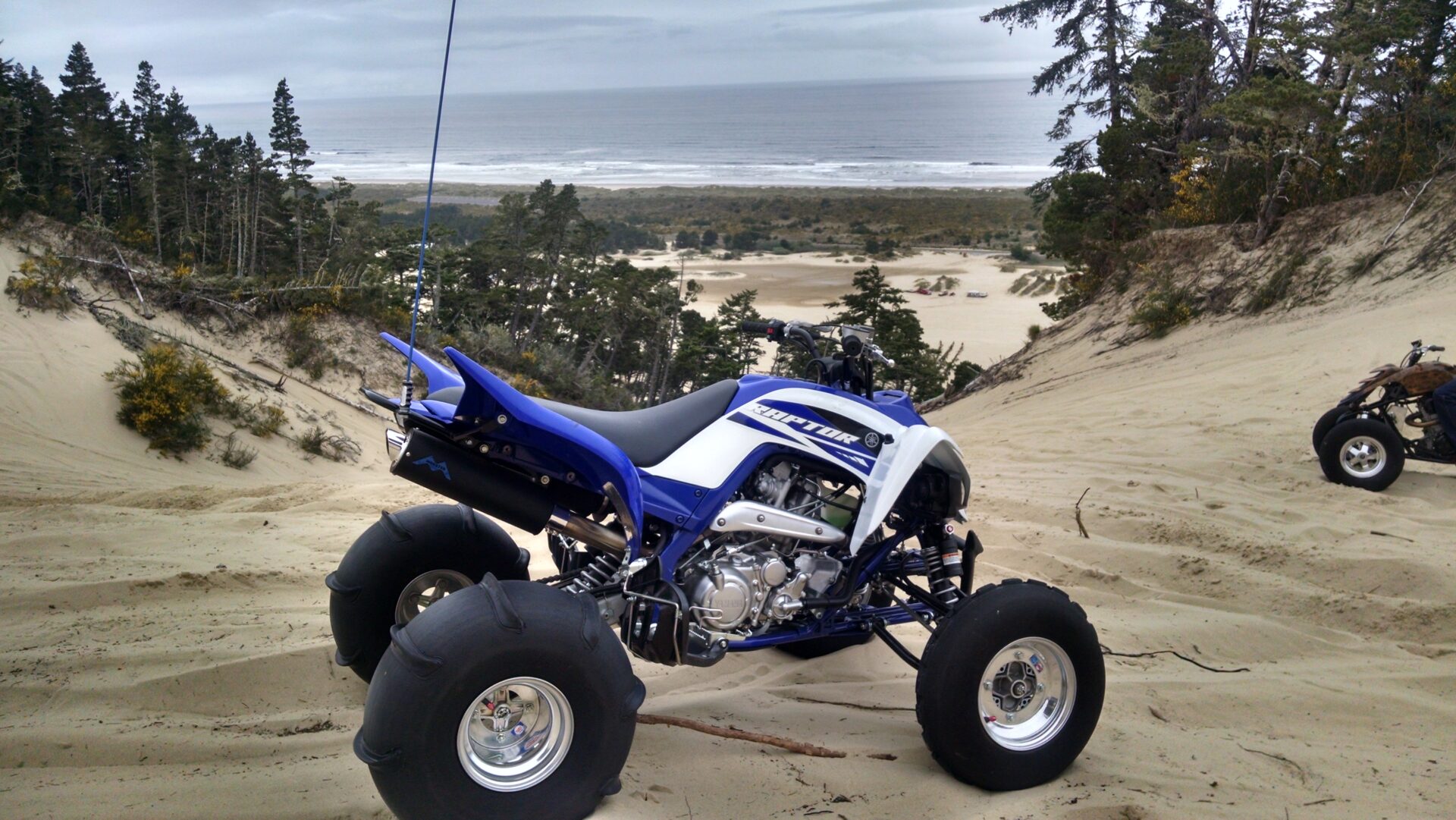 Suzuki ATV on a sand dune